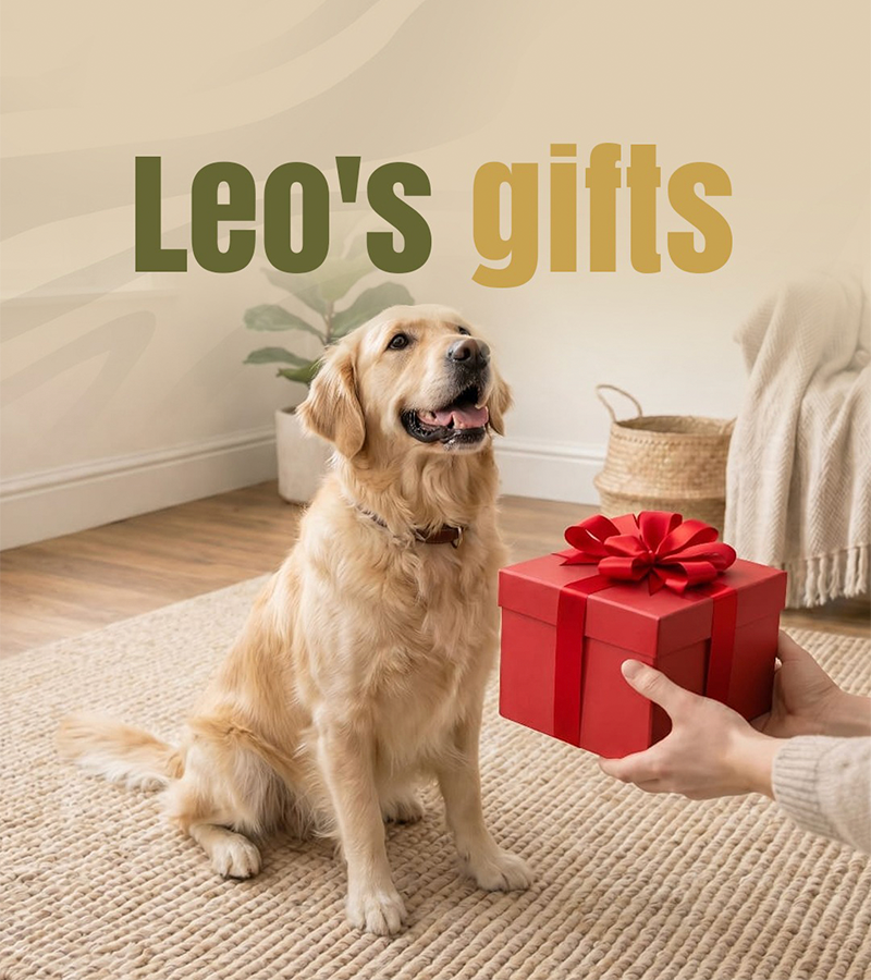 Gift